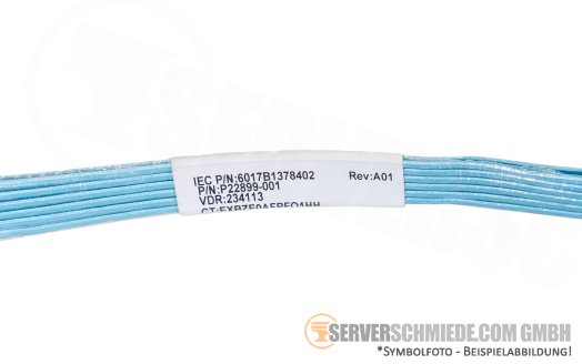 HP 60cm SAS Kabel 1x SFF-8087 gerade to 1x SFF-8087 gerade DL385 Gen10 Plus P22899-001